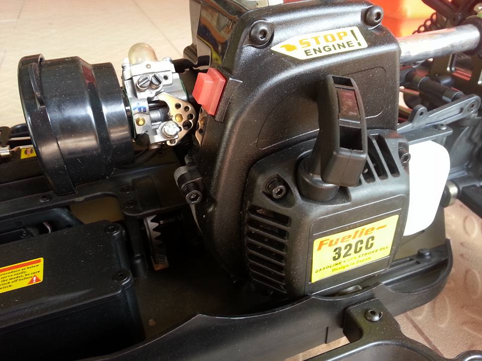 Ford Fiesta King Frog Rally.