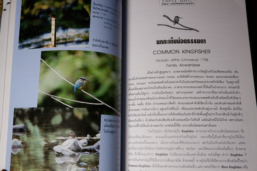 ชีวิตนก จากบันทึก เเละความทรงจำ เล่ม 1 โดย สุธี ศุภรัฐวิกร