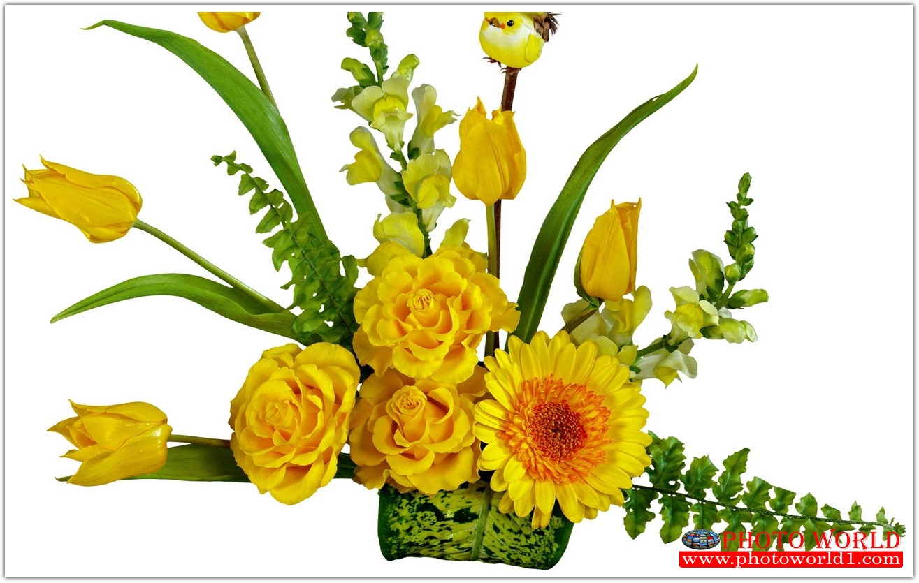 วอลเปเปอร์รูปภาพติดผนังสั่งทำ มีภาพให้เลือกกว่า 50,000 ภาพ ออกแบบกราฟฟิค หรือ รูปภาพตามที่ท่านกำหนด ในสไตล์ท่านเอง "custom made"