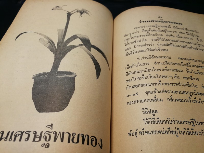 ตำรา ว่าน 108 พร้อมด้วยวิธีปลูก เเละขยายพันธ์ โดย พฤกษาพงษ์ หนา 175 หน้า