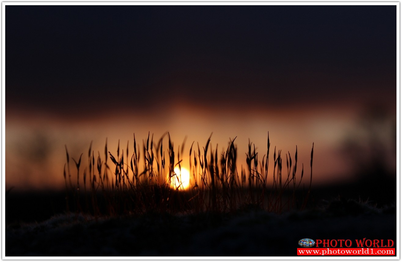 NATURAL วอลเปเปอร์รูปภาพติดผนังสั่งทำ มีภาพให้เลือกกว่า 50,000 ภาพ ออกแบบกราฟฟิค หรือ รูปภาพตามที่ท่านกำหนด ในสไตล์ท่านเอง "custom made"