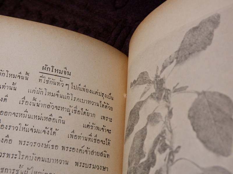 ตำนานเเละสรรพคุณของพืชบางอย่าง ที่ใช้เป็นยาเเละอาหาร เรียบเรียงโดย พระยาสีหศักดิ์สนิทวงศ์ (ม.ร.ว. ถัด ชุมสาย) ปี 2475