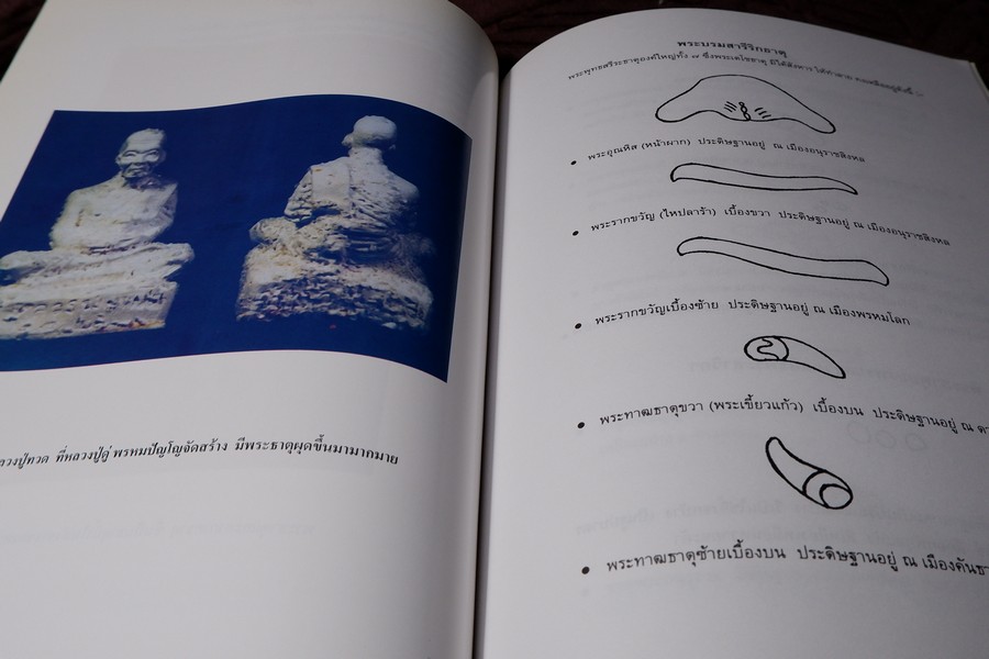 ตามรอยหลวงปู่ใหญ่(เล่มพิเศษ) หนา 266 หน้า พิมพ์ 1000 เล่ม ปี 2547 (สอบถาม)