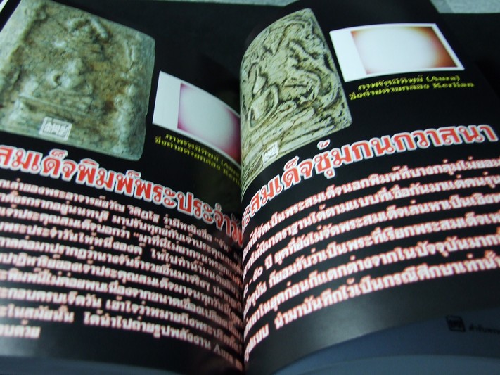ตำรับพรหมรังสี คัมภีร์ศักดิ์สิทธิ์สะท้านแผ่นดิน ที่รอผู้มีวาสนามาครอบครอง โดย กรมท่า หนา 310 หน้า ปี 2550
