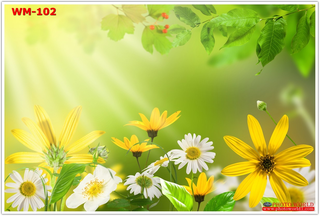 วอลเปเปอร์รูปภาพติดผนังสั่งทำ มีภาพให้เลือกกว่า 50,000 ภาพ ออกแบบกราฟฟิค หรือ รูปภาพตามที่ท่านกำหนด ในสไตล์ท่านเอง "custom made"