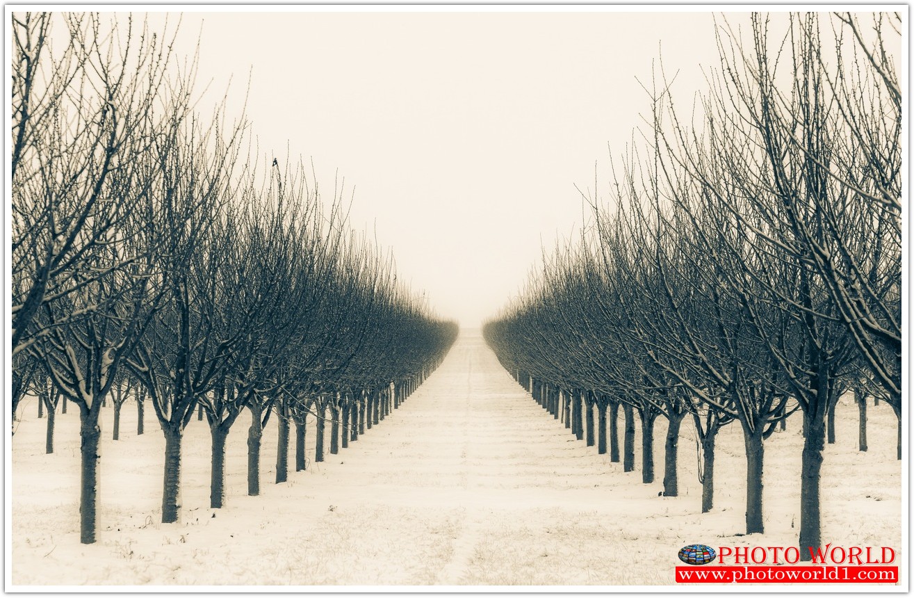 NATURAL วอลเปเปอร์รูปภาพติดผนังสั่งทำ มีภาพให้เลือกกว่า 50,000 ภาพ ออกแบบกราฟฟิค หรือ รูปภาพตามที่ท่านกำหนด ในสไตล์ท่านเอง "custom made"