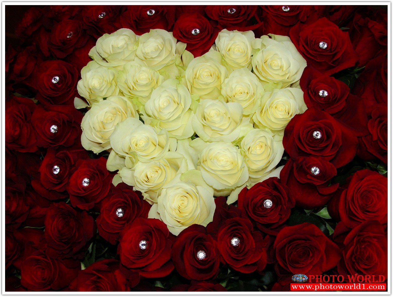 วอลเปเปอร์รูปภาพติดผนังสั่งทำ มีภาพให้เลือกกว่า 50,000 ภาพ ออกแบบกราฟฟิค หรือ รูปภาพตามที่ท่านกำหนด ในสไตล์ท่านเอง "custom made"