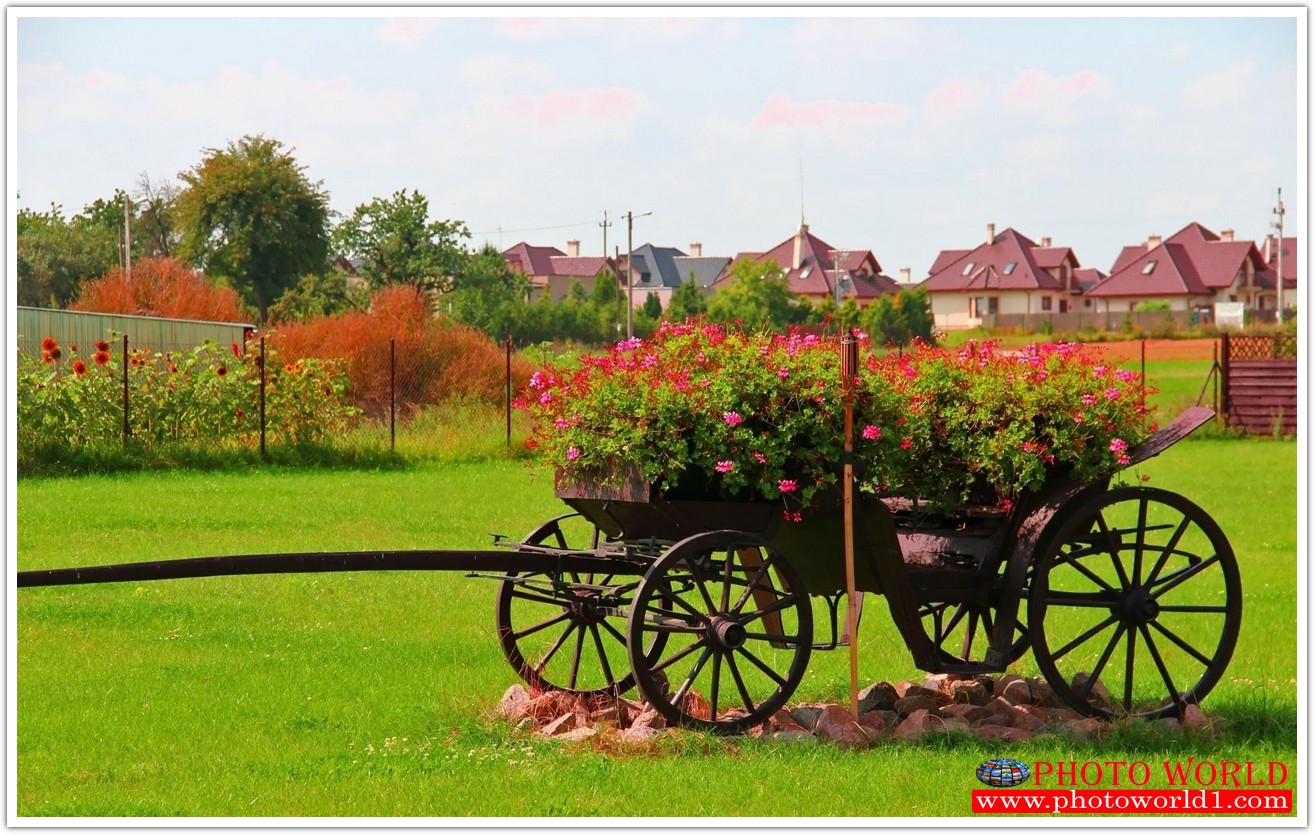 วอลเปเปอร์รูปภาพติดผนังสั่งทำ มีภาพให้เลือกกว่า 50,000 ภาพ ออกแบบกราฟฟิค หรือ รูปภาพตามที่ท่านกำหนด ในสไตล์ท่านเอง "custom made"