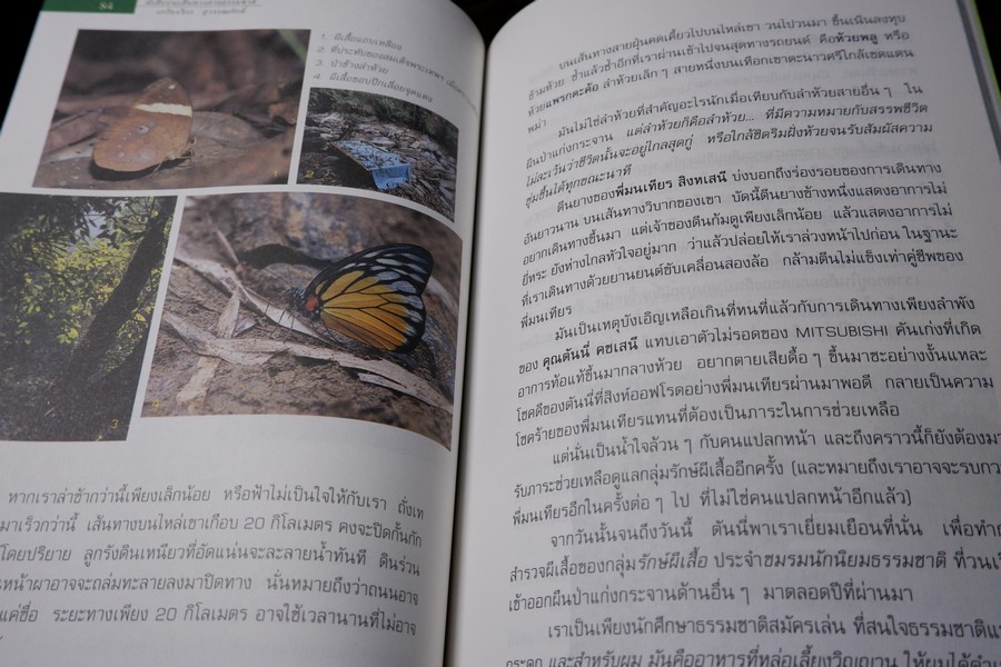 ผีเสื้อ บนเส้นทางสายธรรมชาติ โดย เกรียงไกร สุวรรณภักดิ์