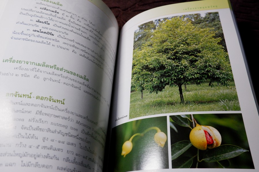 คู่มือเภสัชกรรมเเผนไทย เล่ม 2 เครื่องยาพฤกษวัตถุ พิมพ์ปี 2545