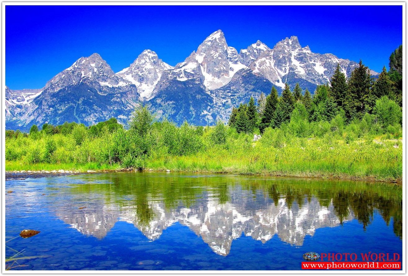 NATURAL วอลเปเปอร์รูปภาพติดผนังสั่งทำ มีภาพให้เลือกกว่า 50,000 ภาพ ออกแบบกราฟฟิค หรือ รูปภาพตามที่ท่านกำหนด ในสไตล์ท่านเอง "custom made"