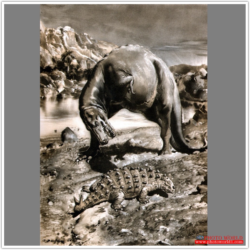 วอลเปเปอร์รูปภาพติดผนังสั่งทำ DINOSAUR(PHOTO STOCK) มีภาพให้เลือกกว่า 50,000 ภาพ ออกแบบกราฟฟิค หรือ รูปภาพตามที่ท่านกำหนด ในสไตล์ท่านเอง "custom made"