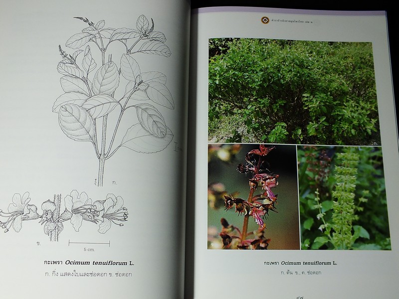 ตำราอ้างอิงยาสมุนไพรไทย โดย คณะอนุกรรมการจัดทำตำราอ้างอิงสมุนไพรไทย ปกแข็ง 3 เล่ม (สอบถาม)