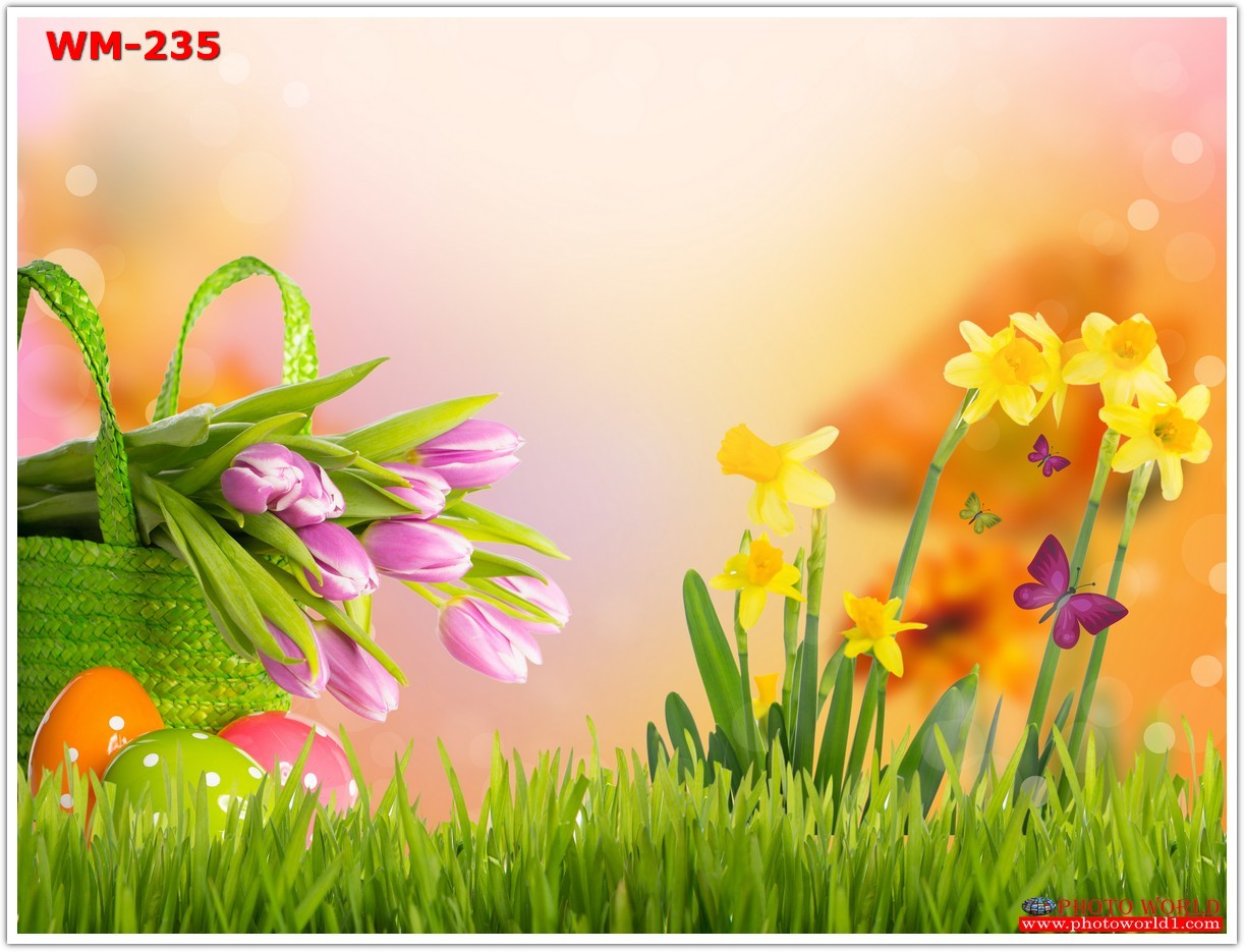 วอลเปเปอร์รูปภาพติดผนังสั่งทำ มีภาพให้เลือกกว่า 50,000 ภาพ ออกแบบกราฟฟิค หรือ รูปภาพตามที่ท่านกำหนด ในสไตล์ท่านเอง "custom made"