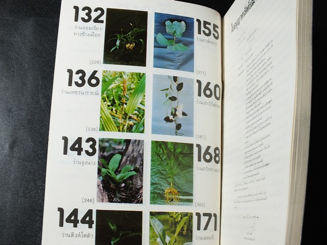 คู่มือดูว่าน ของ สมาคมว่านเเห่งประเทศไทย