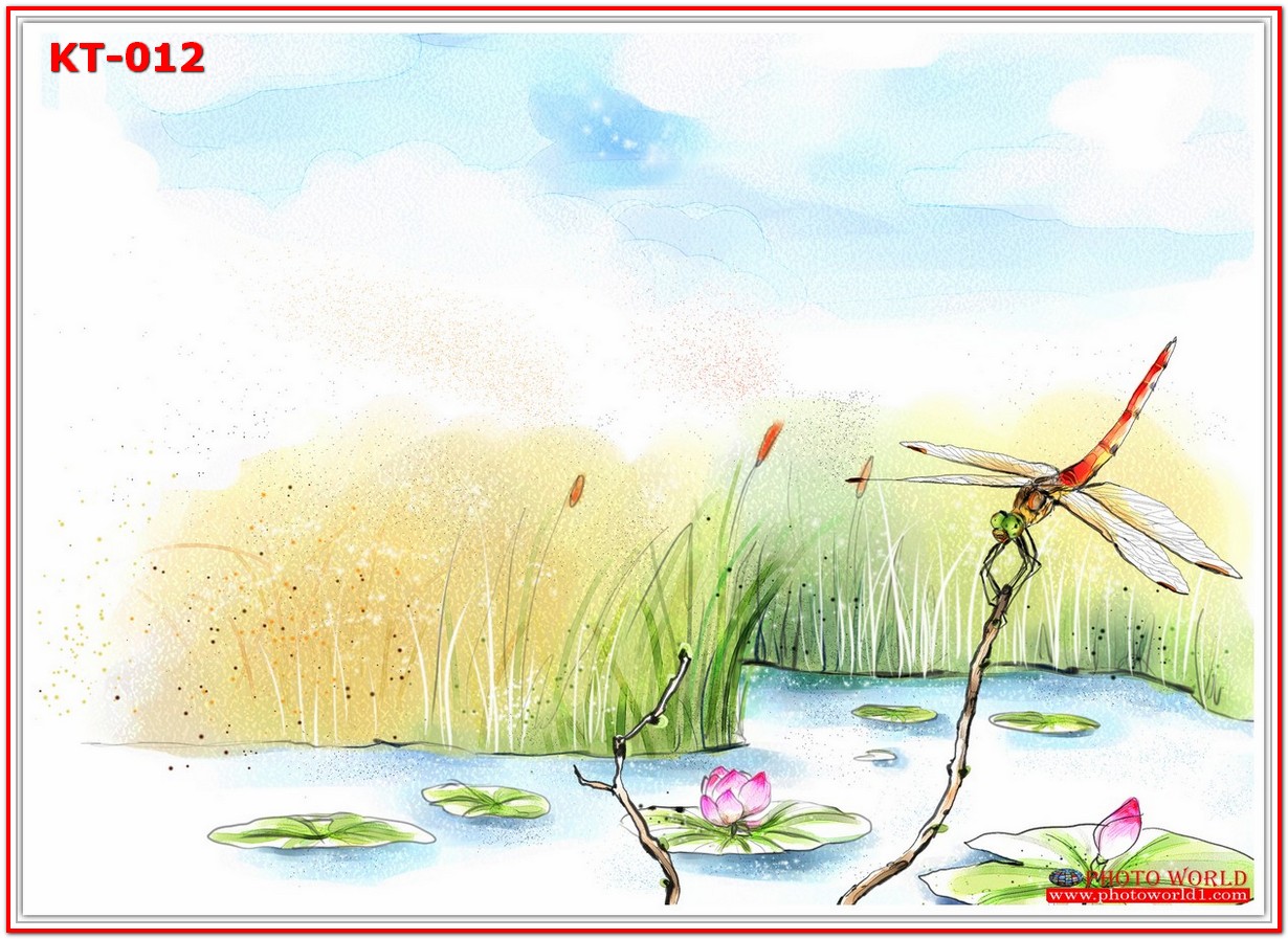 วอลเปเปอร์รูปภาพติดผนังสั่งทำ มีภาพให้เลือกกว่า 50,000 ภาพ ออกแบบกราฟฟิค หรือ รูปภาพตามที่ท่านกำหนด ในสไตล์ท่านเอง "custom made"