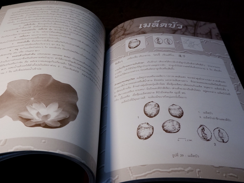 สมุนไพรไทย-จีน โดย กรมวิทยาศาสตร์การเเพทย์ กระทรวงสาธารณสุข