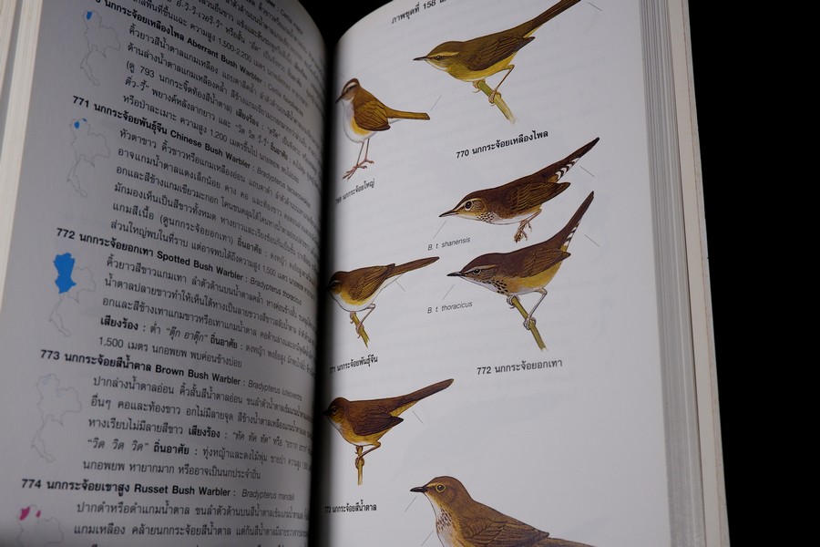 คู่มือดูนก หมอบุญส่ง เลขะกุล นกเมืองไทย (ฉบับ 100 ปี หมอบุญส่ง เลขะกุล) ปี 2550