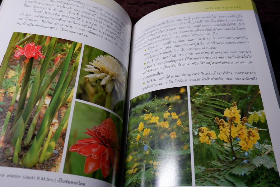 คู่มือเภสัชกรรมเเผนไทย เล่ม 2 เครื่องยาพฤกษวัตถุ พิมพ์ปี 2545