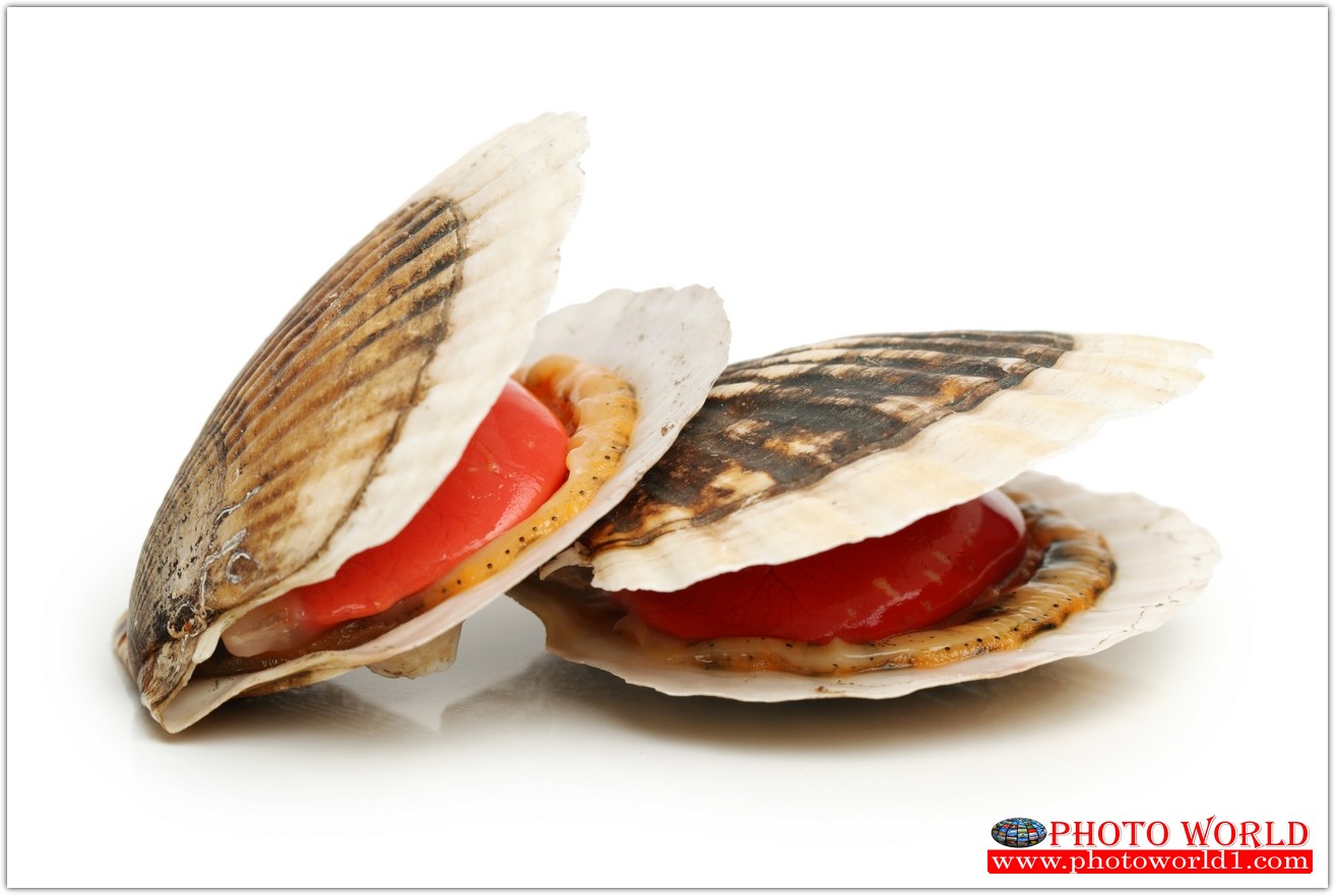 วอลเปเปอร์รูปภาพติดผนังสั่งทำ มีภาพให้เลือกกว่า 50,000 ภาพ ออกแบบกราฟฟิค หรือ รูปภาพตามที่ท่านกำหนด ในสไตล์ท่านเอง "custom made"