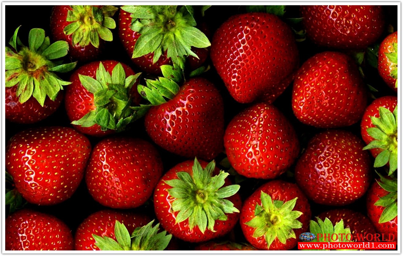 วอลเปเปอร์รูปภาพติดผนังสั่งทำ มีภาพให้เลือกกว่า 50,000 ภาพ ออกแบบกราฟฟิค หรือ รูปภาพตามที่ท่านกำหนด ในสไตล์ท่านเอง "custom made"