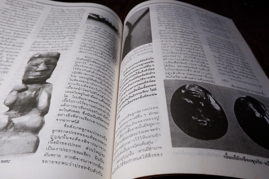 9 พระอาจารย์เสือ โดย สุริยัน ศักดิ์ไธสง (สุดยอด เครื่องรางของขลังขมังเวทย์ 9 เกจิอาจารย์ดัง)