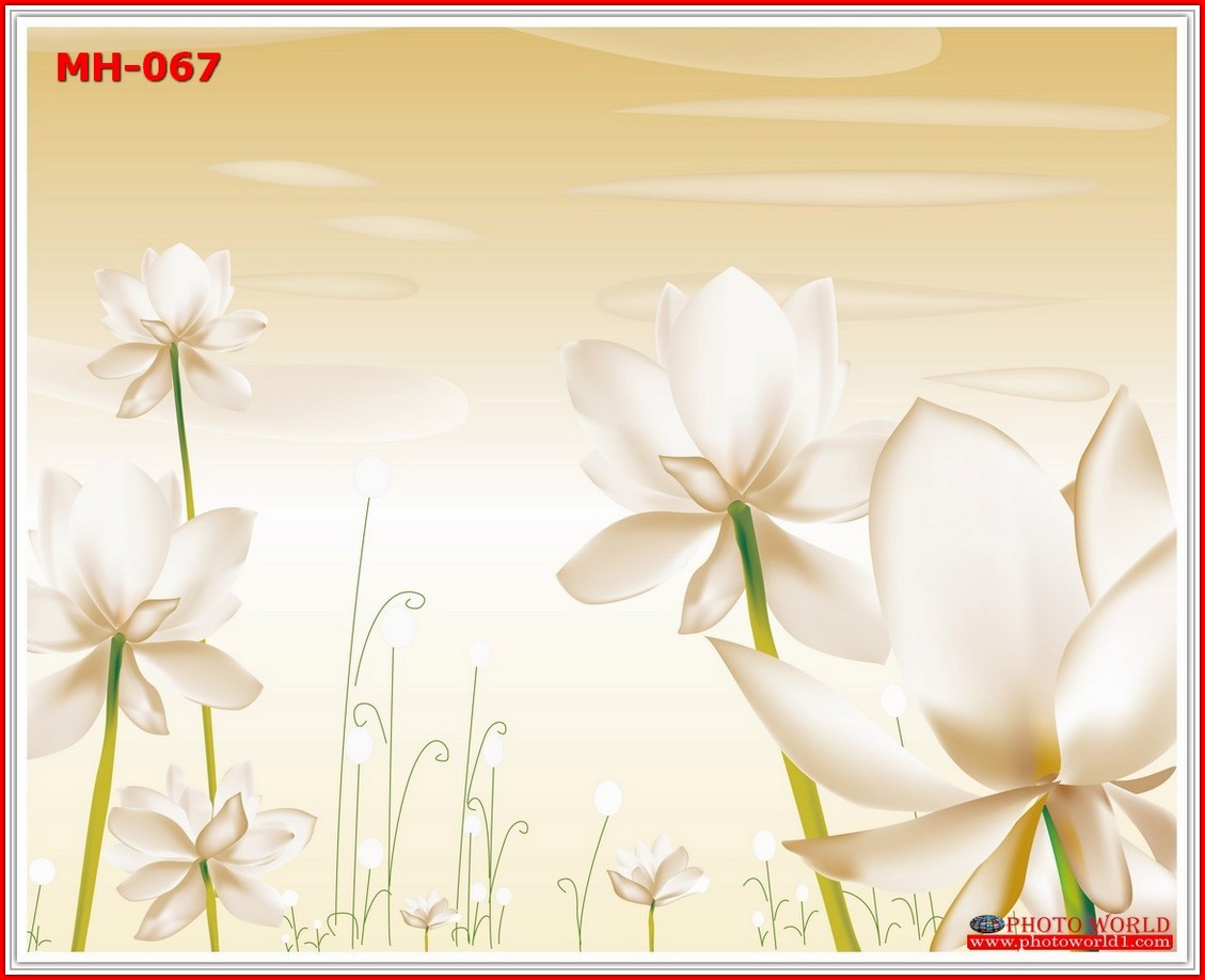 วอลเปเปอร์รูปภาพติดผนังสั่งทำ มีภาพให้เลือกกว่า 50,000 ภาพ ออกแบบกราฟฟิค หรือ รูปภาพตามที่ท่านกำหนด ในสไตล์ท่านเอง "custom made"