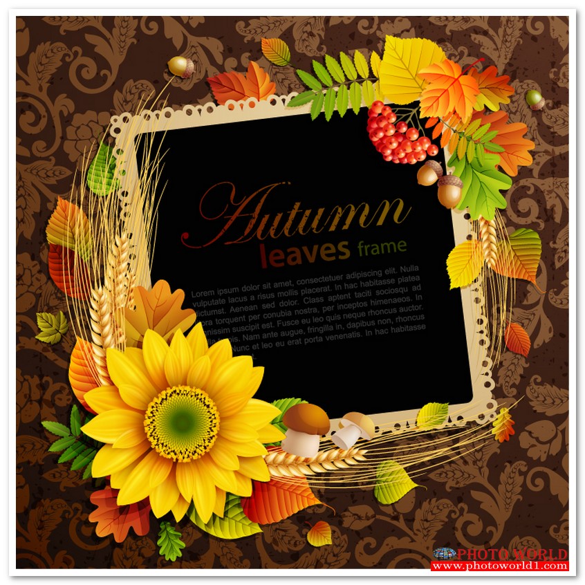 กรอบดอกไม้(FLOWER) สั่งทำวอลเปเปอร์ รูปภาพติดผนัง มีภาพให้เลือกกว่า 50,000 ภาพ ออกแบบกราฟฟิค หรือ รูปภาพตามที่ท่านกำหนด ในสไตล์ท่านเอง "custom made"