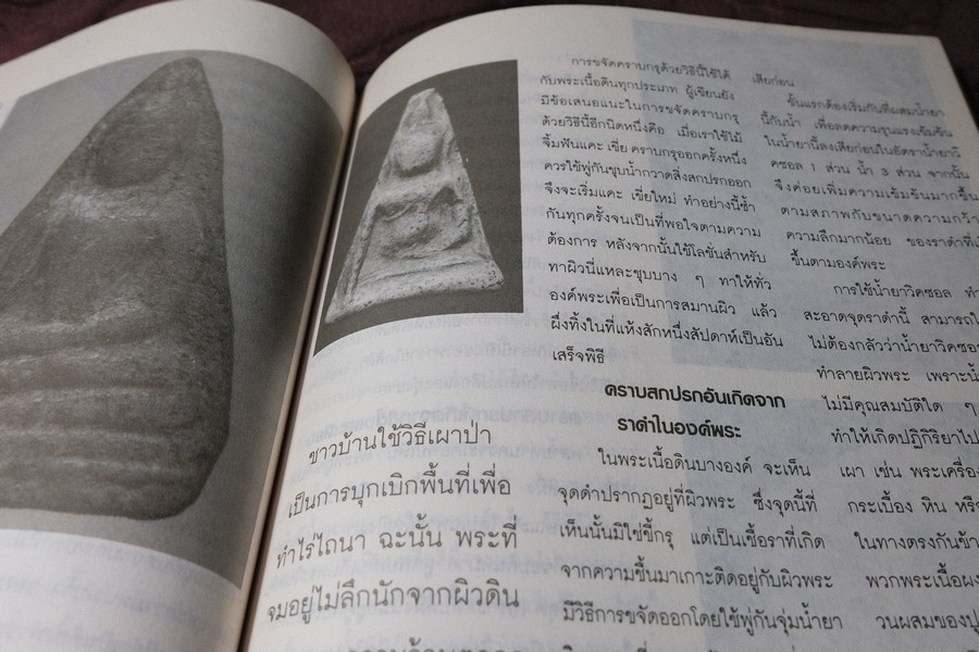 วิธีการล้างพระบูชา พระเครื่อง เเละการระวังรักษา โดย คเณศ์พร หนา 100 หน้า