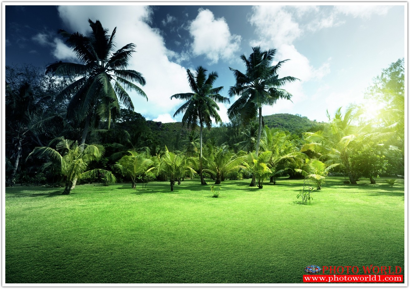 NATURAL วอลเปเปอร์รูปภาพติดผนังสั่งทำ มีภาพให้เลือกกว่า 50,000 ภาพ ออกแบบกราฟฟิค หรือ รูปภาพตามที่ท่านกำหนด ในสไตล์ท่านเอง "custom made"