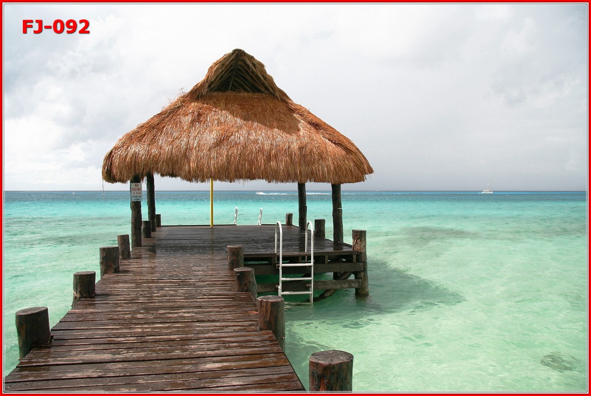 วอลเปเปอร์รูปภาพติดผนังสั่งทำ มีภาพให้เลือกกว่า 50,000 ภาพ ออกแบบกราฟฟิค หรือ รูปภาพตามที่ท่านกำหนด ในสไตล์ท่านเอง "custom made"