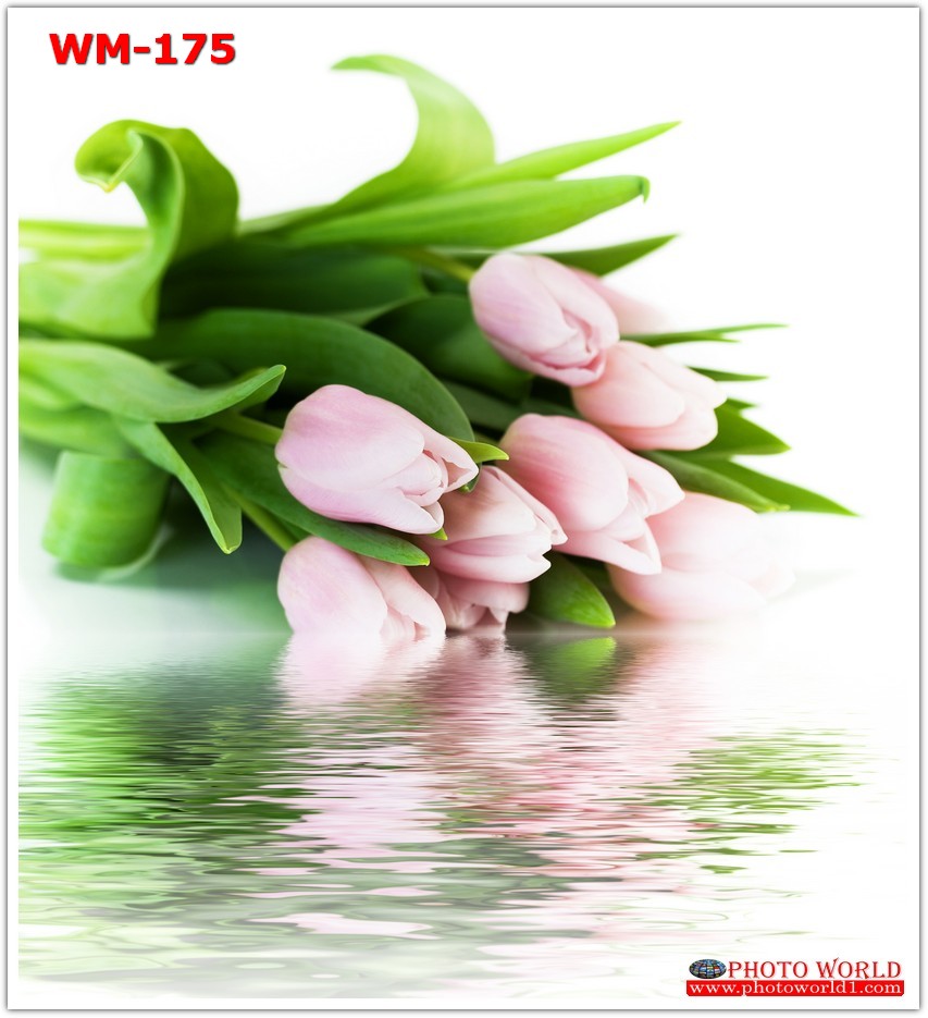 วอลเปเปอร์รูปภาพติดผนังสั่งทำ มีภาพให้เลือกกว่า 50,000 ภาพ ออกแบบกราฟฟิค หรือ รูปภาพตามที่ท่านกำหนด ในสไตล์ท่านเอง "custom made"