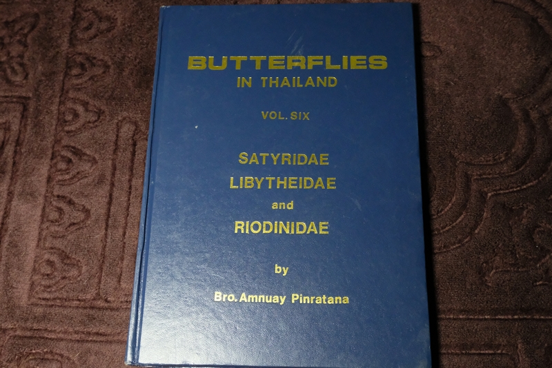 BUTTERFLIES IN THAILAND vol.6 (satyridae libytheidae and riodinidae) by Bro.Amnuay Pinratana ปกเเข็ง