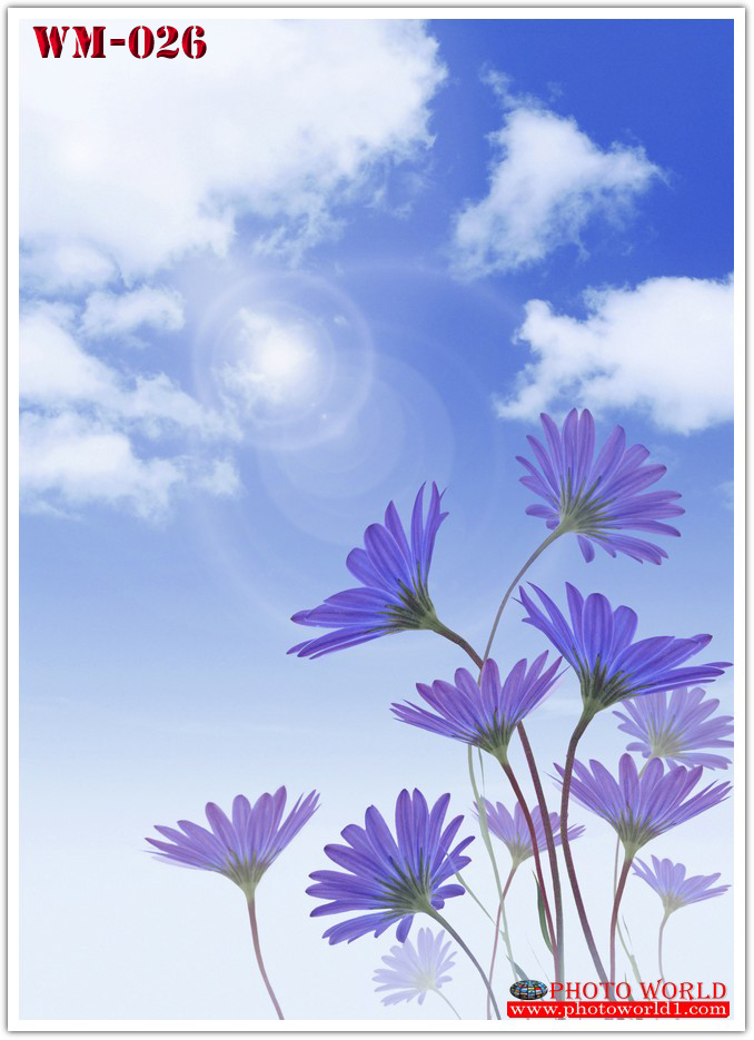 วอลเปเปอร์รูปภาพติดผนังสั่งทำ มีภาพให้เลือกกว่า 50,000 ภาพ ออกแบบกราฟฟิค หรือ รูปภาพตามที่ท่านกำหนด ในสไตล์ท่านเอง "custom made"