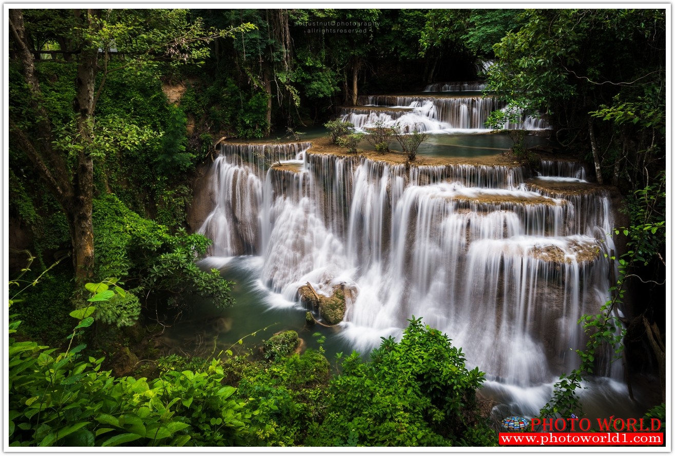 NATURAL วอลเปเปอร์รูปภาพติดผนังสั่งทำ มีภาพให้เลือกกว่า 50,000 ภาพ ออกแบบกราฟฟิค หรือ รูปภาพตามที่ท่านกำหนด ในสไตล์ท่านเอง "custom made"