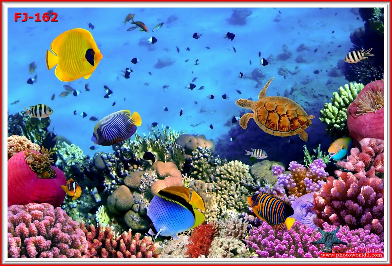 วอลเปเปอร์รูปภาพติดผนังสั่งทำ มีภาพให้เลือกกว่า 50,000 ภาพ ออกแบบกราฟฟิค หรือ รูปภาพตามที่ท่านกำหนด ในสไตล์ท่านเอง "custom made"