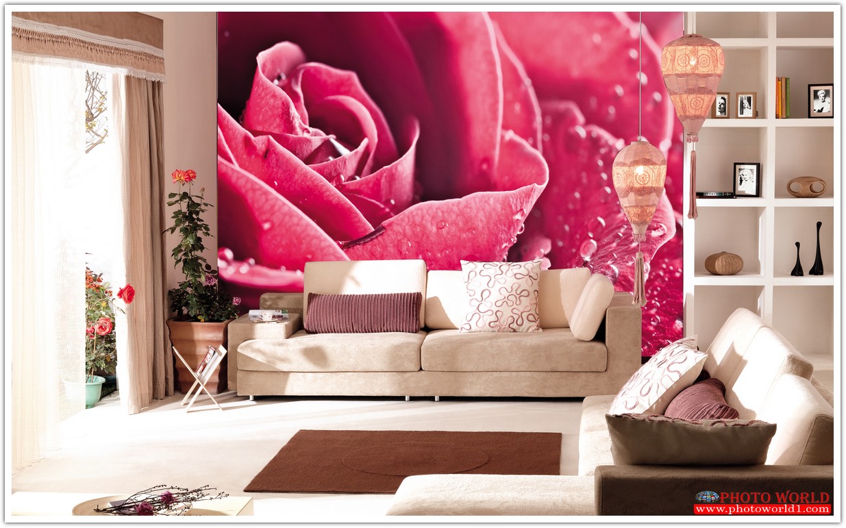 วอลเปเปอร์รูปภาพติดผนังสั่งทำ มีภาพให้เลือกกว่า 50,000 ภาพ ออกแบบกราฟฟิค หรือ รูปภาพตามที่ท่านกำหนด ในสไตล์ท่านเอง "custom made"