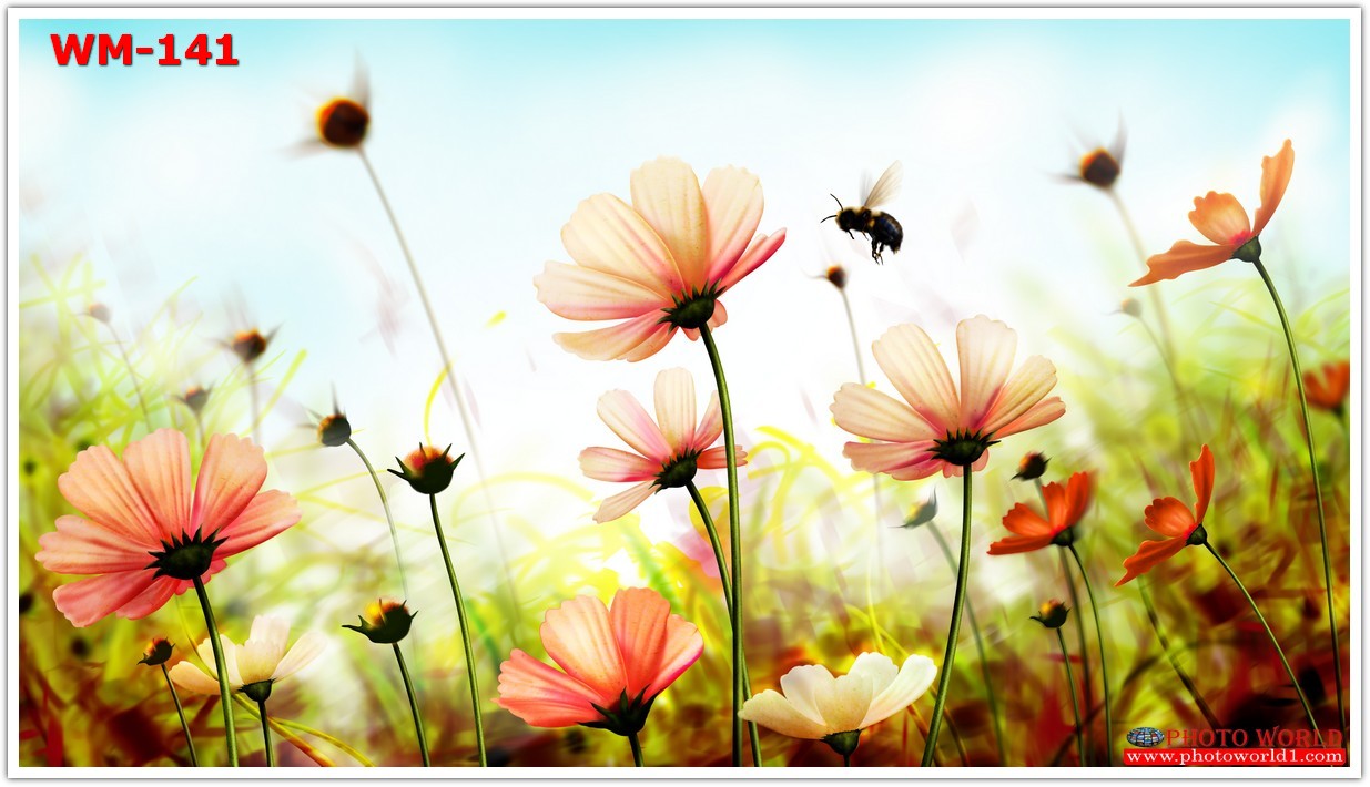 วอลเปเปอร์รูปภาพติดผนังสั่งทำ มีภาพให้เลือกกว่า 50,000 ภาพ ออกแบบกราฟฟิค หรือ รูปภาพตามที่ท่านกำหนด ในสไตล์ท่านเอง "custom made"