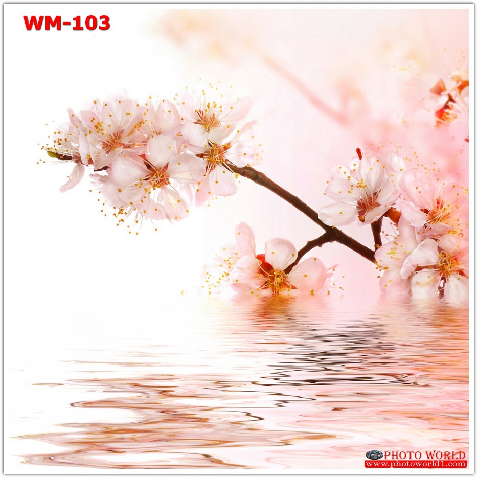 วอลเปเปอร์รูปภาพติดผนังสั่งทำ มีภาพให้เลือกกว่า 50,000 ภาพ ออกแบบกราฟฟิค หรือ รูปภาพตามที่ท่านกำหนด ในสไตล์ท่านเอง "custom made"