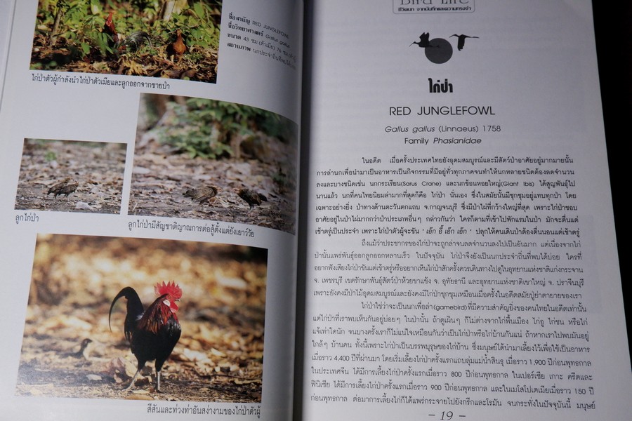 ชีวิตนก จากบันทึก เเละความทรงจำ เล่ม 1 โดย สุธี ศุภรัฐวิกร