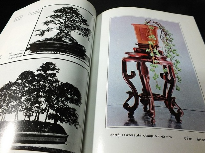 บอนไซ 01 02 03 รวม 3 เล่ม โดยชมรมบอนไซ(ไม้เเคระ) เเห่งประเทศไทย //สอบถาม//