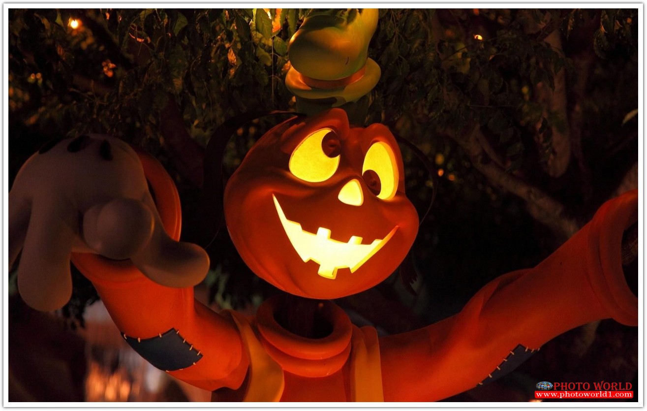 วอลเปเปอร์รูปภาพติดผนังสั่งทำ มีภาพให้เลือกกว่า 50,000 ภาพ ออกแบบกราฟฟิค หรือ รูปภาพตามที่ท่านกำหนด ในสไตล์ท่านเอง "custom made"