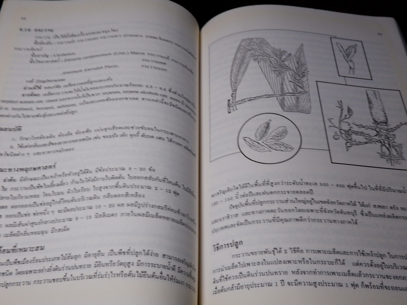 พืชเครื่องเทศ เเละ สมุนไพร โดย รุ่งรัตน์ เหลืองนทีเทพ