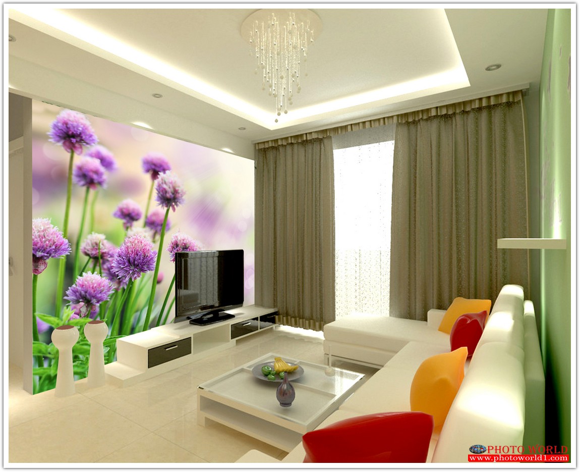 วอลเปเปอร์รูปภาพติดผนังสั่งทำ มีภาพให้เลือกกว่า 50,000 ภาพ ออกแบบกราฟฟิค หรือ รูปภาพตามที่ท่านกำหนด ในสไตล์ท่านเอง "custom made"