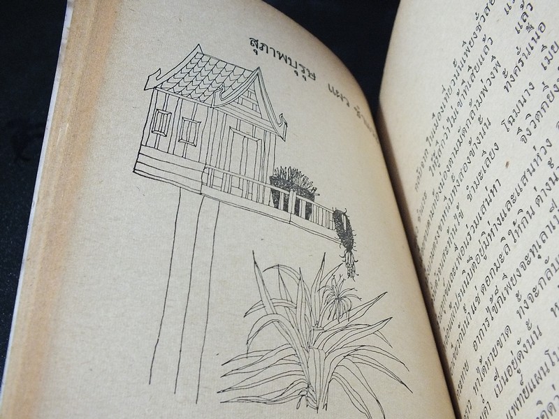 เสเพลบอยชาวไร่ โดย รงค์ วงษ์สวรรค์ ปี 2512