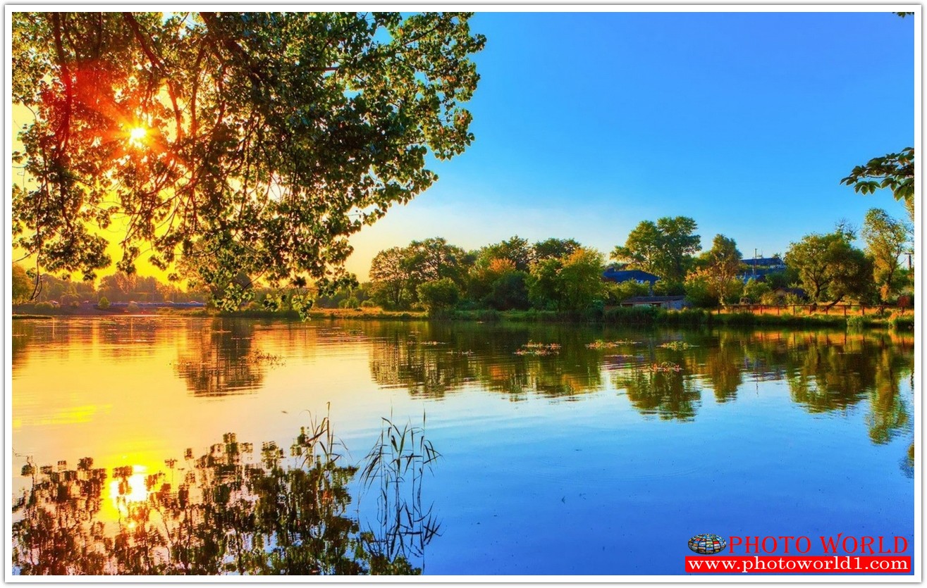 NATURAL วอลเปเปอร์รูปภาพติดผนังสั่งทำ มีภาพให้เลือกกว่า 50,000 ภาพ ออกแบบกราฟฟิค หรือ รูปภาพตามที่ท่านกำหนด ในสไตล์ท่านเอง "custom made"