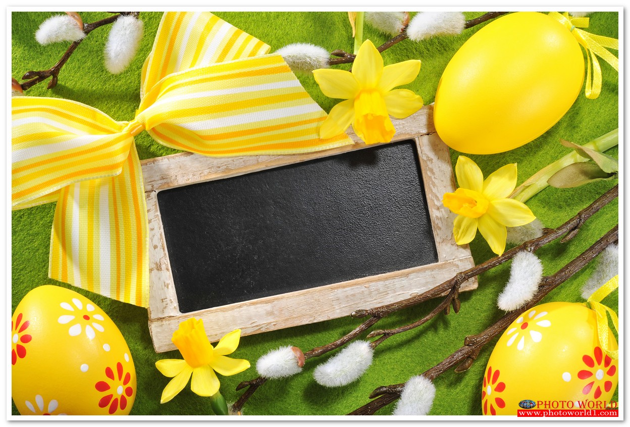 กรอบดอกไม้(FLOWER) สั่งทำวอลเปเปอร์ รูปภาพติดผนัง มีภาพให้เลือกกว่า 50,000 ภาพ ออกแบบกราฟฟิค หรือ รูปภาพตามที่ท่านกำหนด ในสไตล์ท่านเอง "custom made"