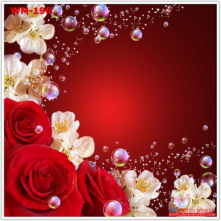 วอลเปเปอร์รูปภาพติดผนังสั่งทำ มีภาพให้เลือกกว่า 50,000 ภาพ ออกแบบกราฟฟิค หรือ รูปภาพตามที่ท่านกำหนด ในสไตล์ท่านเอง "custom made"