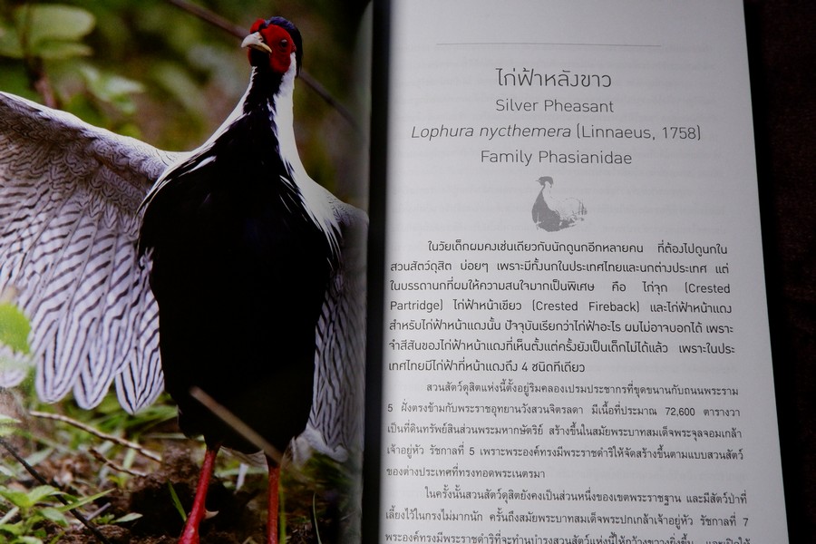 นกไทย ในบันทึกเเละความทรงจำ โดย สุธี ศุภรัฐวิกร พิมพ์ 1000 เล่ม ปี 2558 (มีตำหนิ)