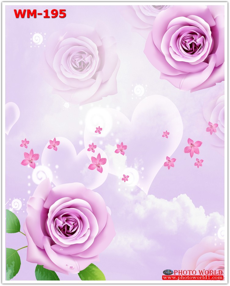 วอลเปเปอร์รูปภาพติดผนังสั่งทำ มีภาพให้เลือกกว่า 50,000 ภาพ ออกแบบกราฟฟิค หรือ รูปภาพตามที่ท่านกำหนด ในสไตล์ท่านเอง "custom made"